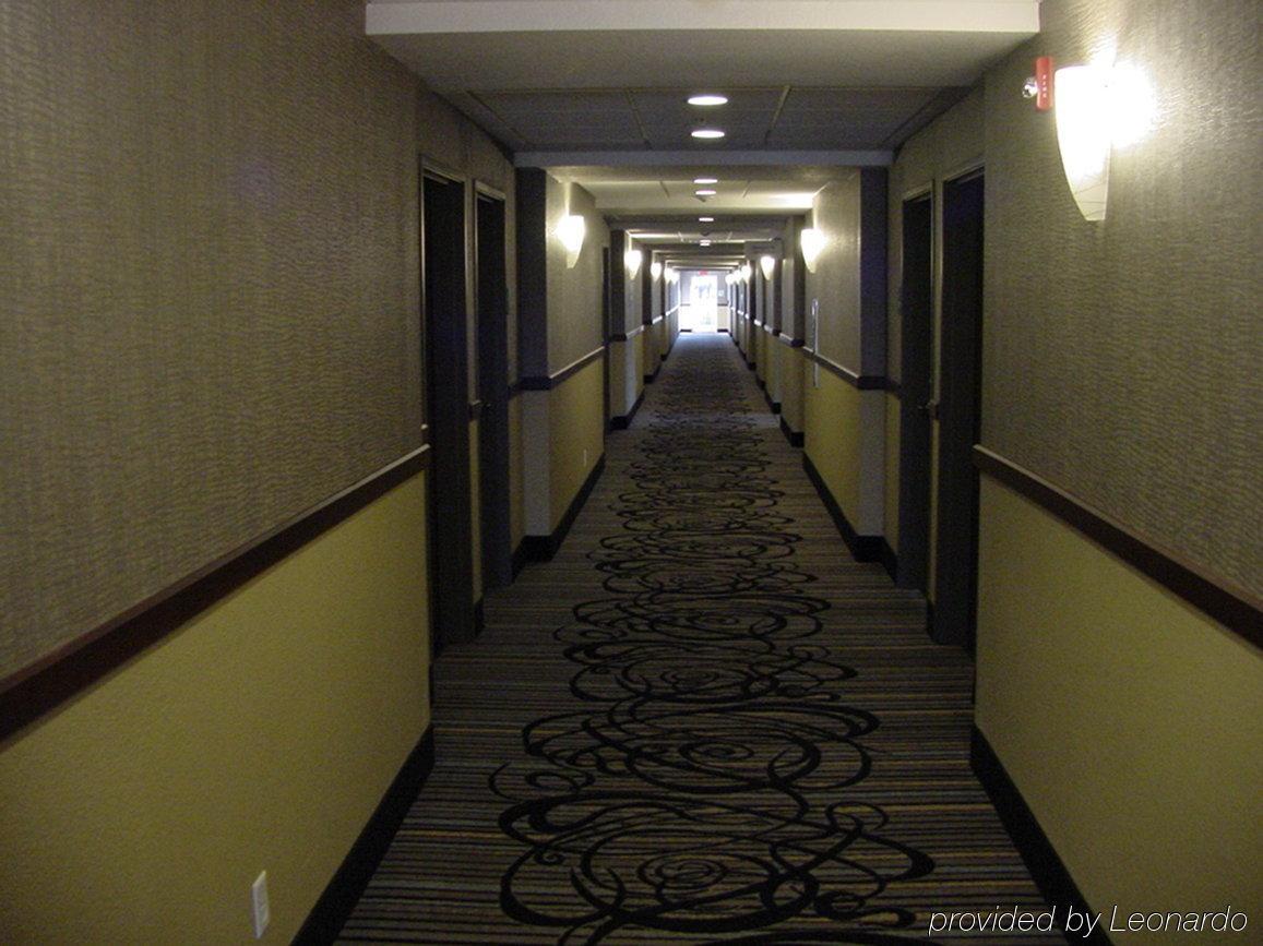 Holiday Inn Express & Suites Fredericksburg By Ihg Buitenkant foto